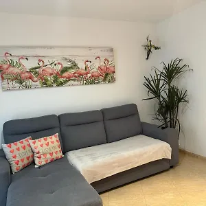 Apartment Parrot's House, Lloret de Mar